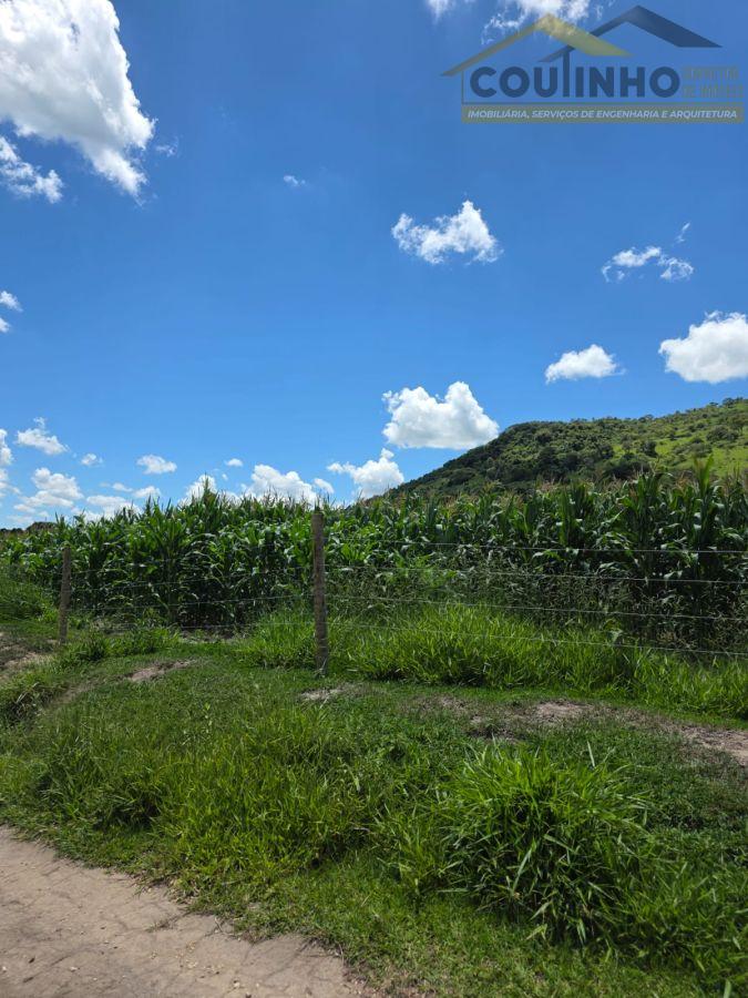 WhatsApp Image 2026-01-21 at 14.14.51 (1).jpeg